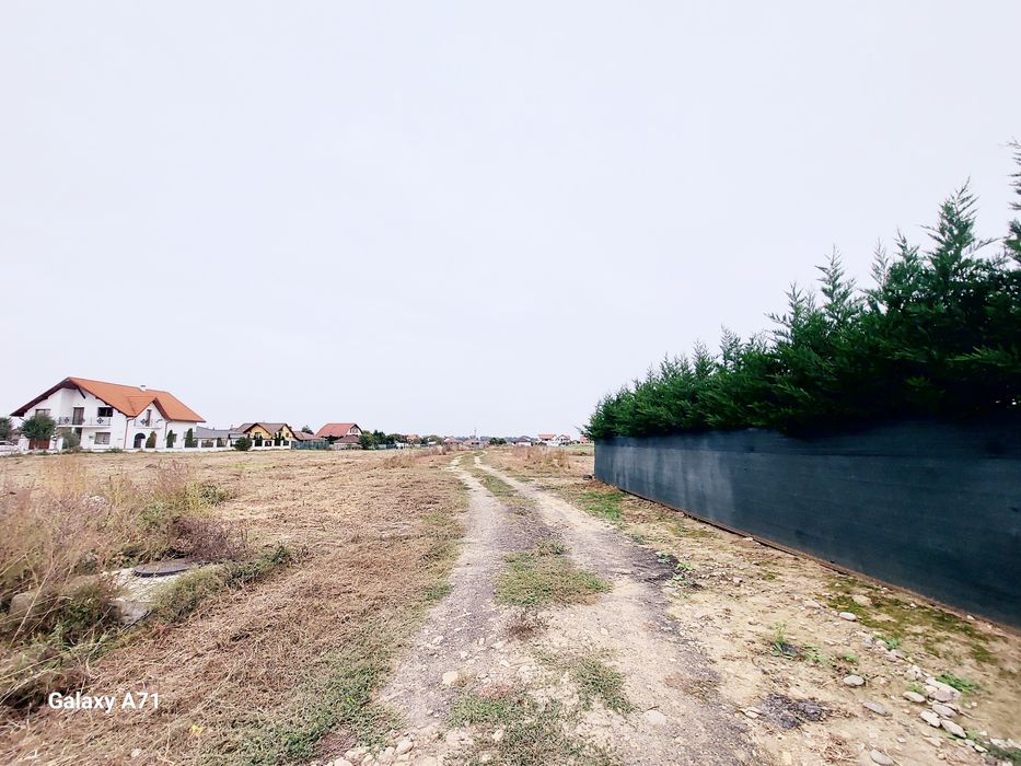 Teren intravilan,  Zona Vetis