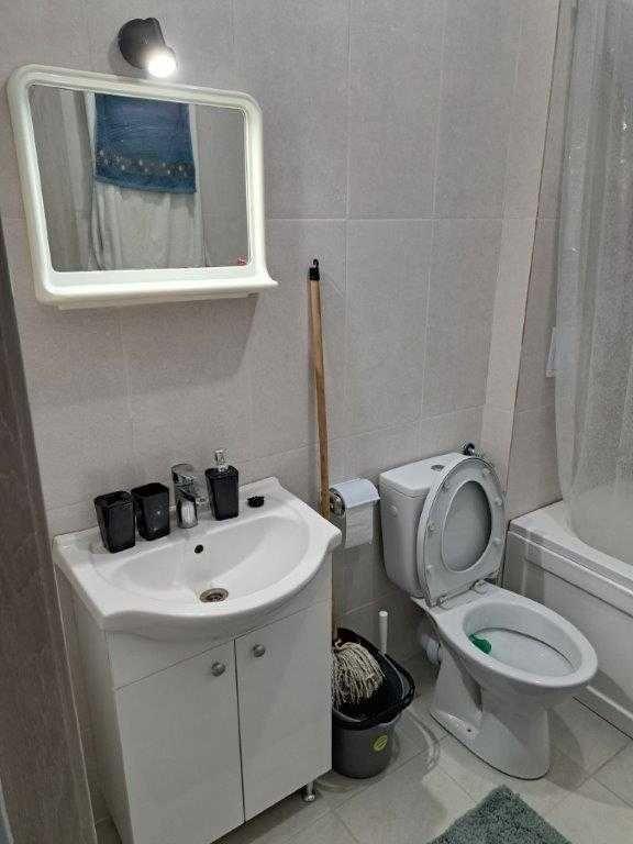 Inchiriez garsoniera Tineretului, Proprietar