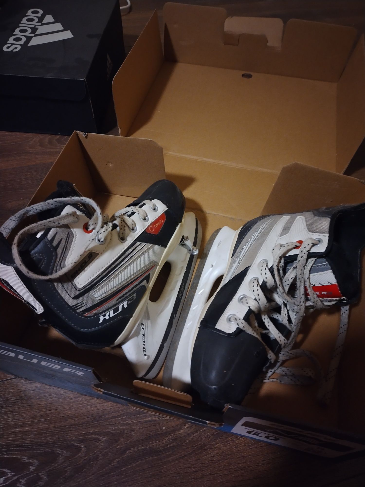 Patine hochei oxelo XLR3