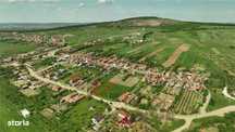 Reco . Teren Intravilan Betfia