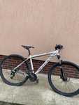 Bicicletă focus black forest