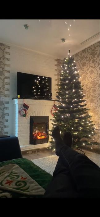 Елка новогодняя 240