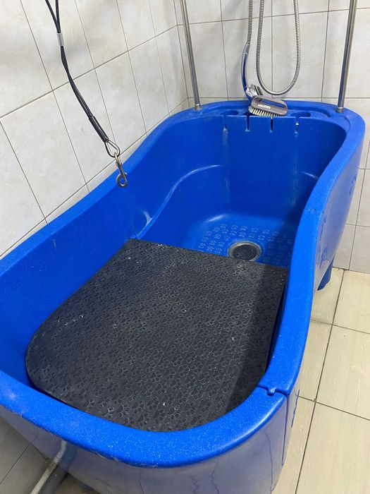 Cada fixa toaletaj canin