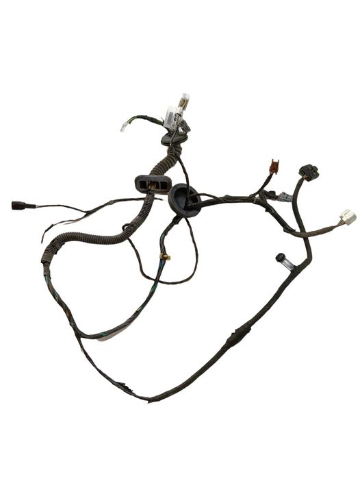 Instalatie electrica usa  dreapta fata NISSAN QASHQAI / QASHQAI +2 I J