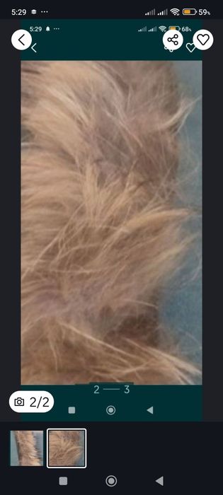 Воротник мех искуствиной.