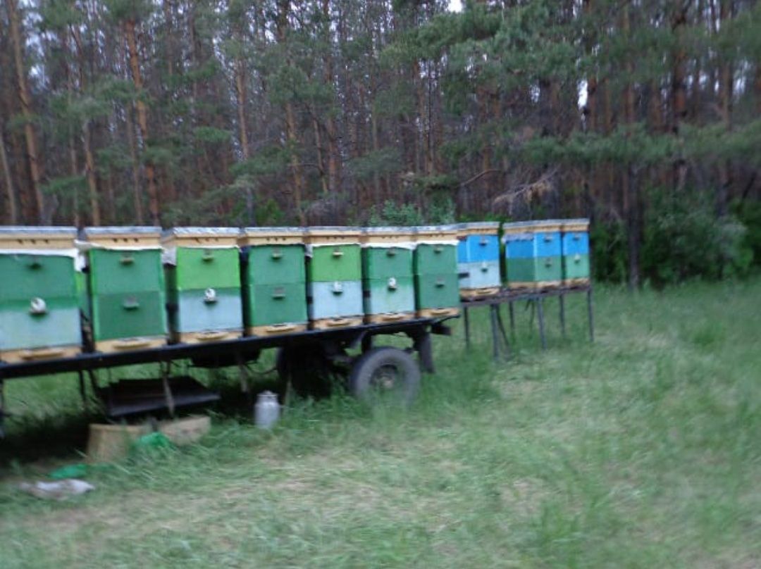Пчеловодческий прицеп с документами