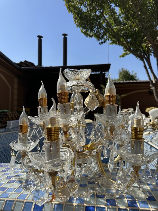 Lyustralar har xil turdagi