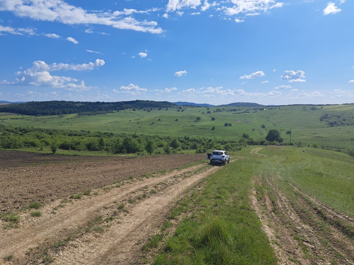 Teren de Vânzare parcelat situat pe Valea Budacului la 200m de asfalt.