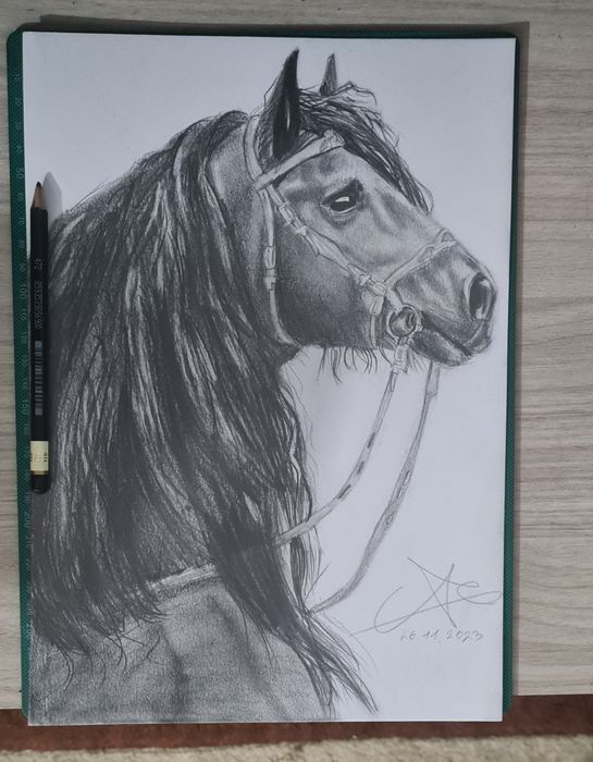 Portrete la comanda