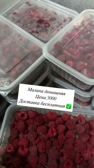 Малина домашняя