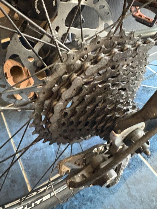 vand bicicleta bulls