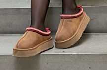 UGG Tazz chestnut