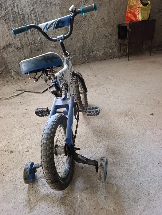 Vlasiped sitiladi