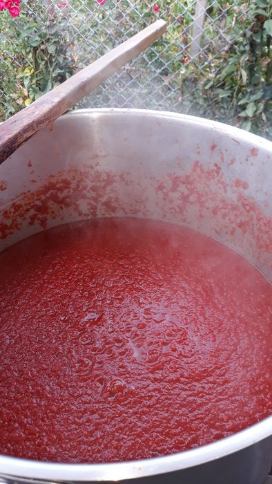 Bulion roşii bio