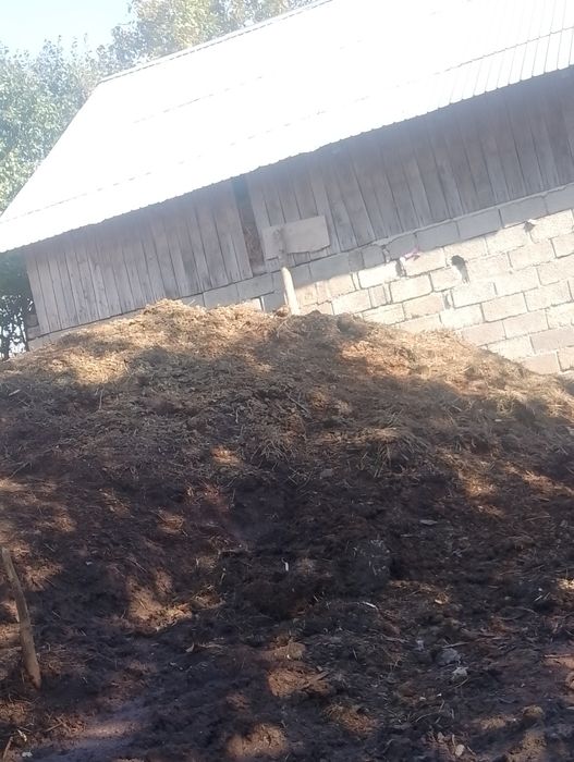 De vânzare gunoi de cal și de vacă