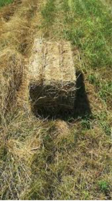 Baloți fân