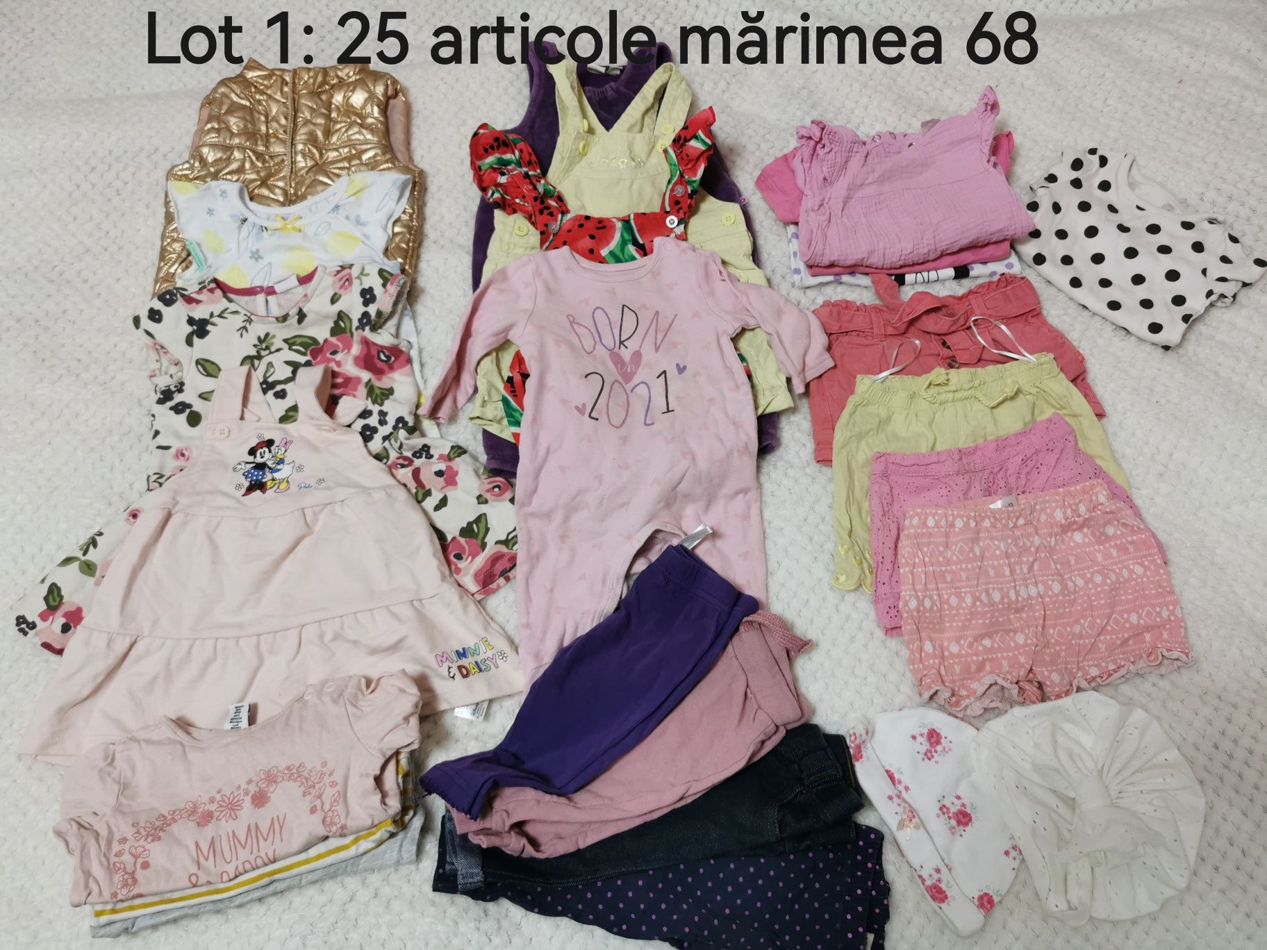 Lot haine fetiță mărimea 68