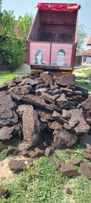 Lemne și cărbune sortat