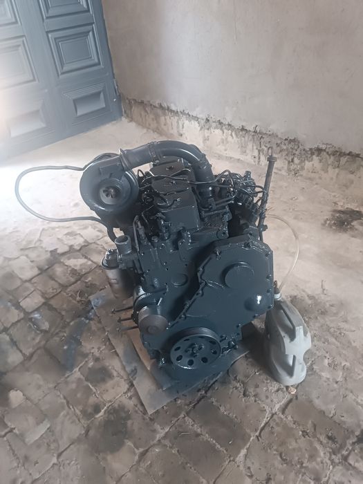 Italyaniski mator sotiladi