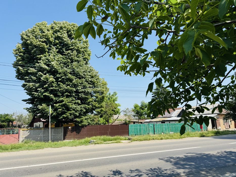 Vanzare casa Tamadau Mare , Calarasi