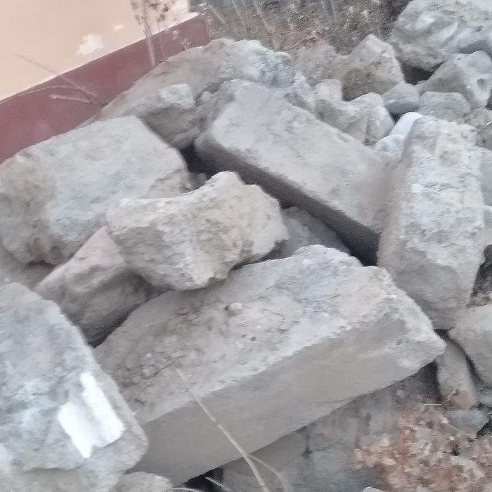 Блужник бетондар