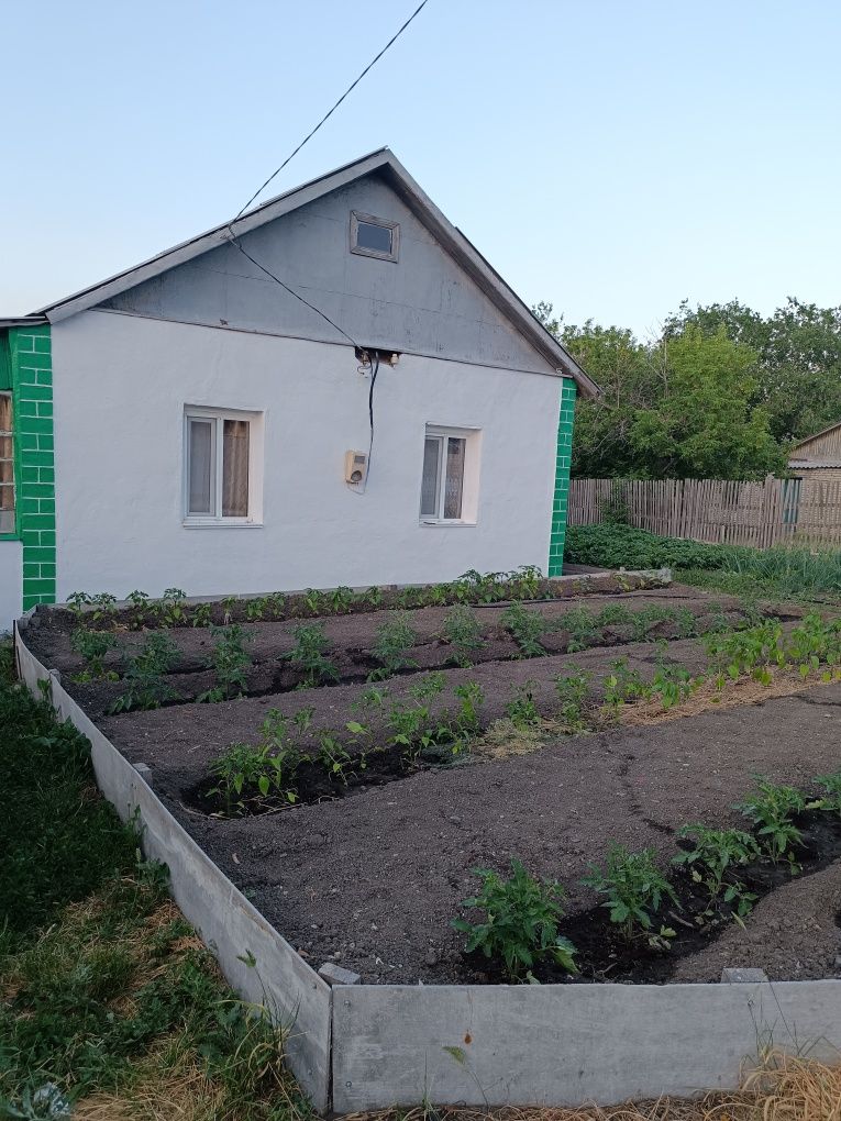 Продам дом в Житикаре