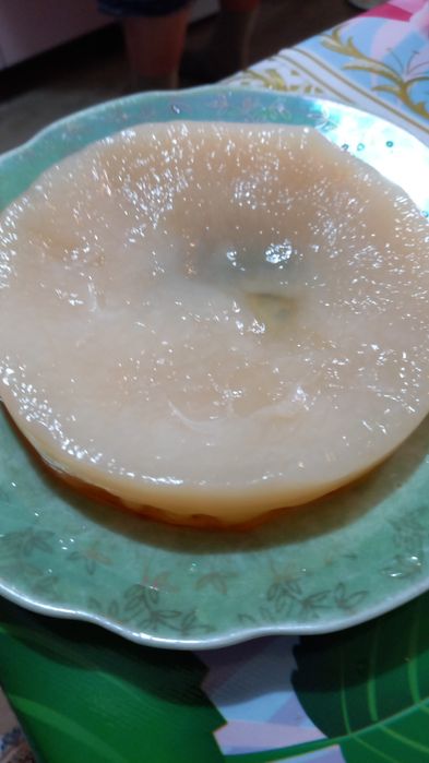 Чайный гриб камбочо