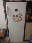 Фризер Zanussi 160л