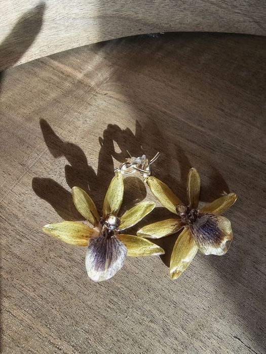 Обеци с естествен цвят на орхидея Камбрия.

Естествен цвят на орхидея