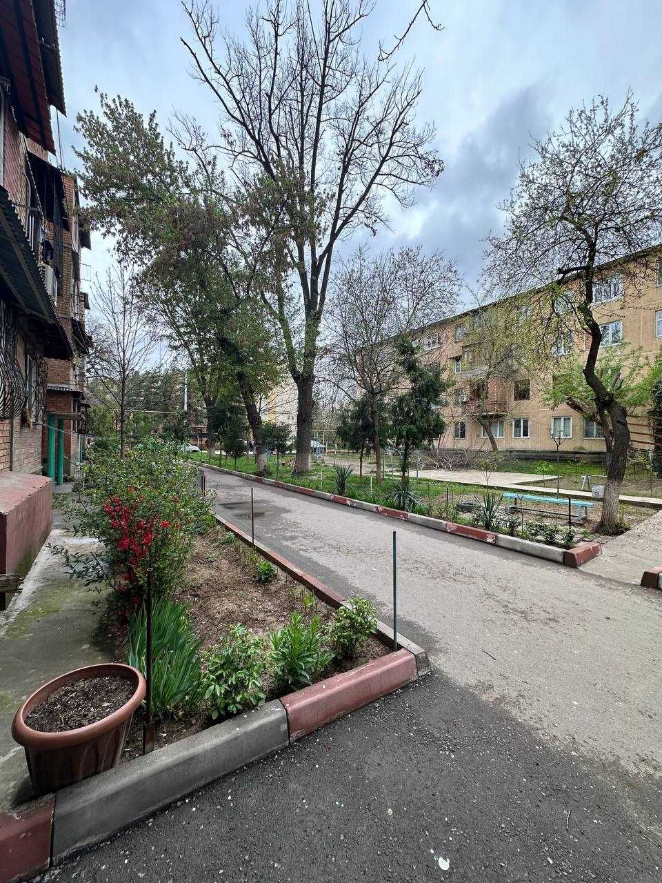 продам квартиру чиланзар 8 кв 2/4/4 53500 ипотека