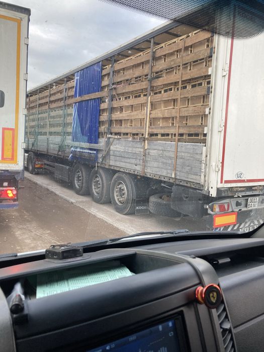 Пчелопакет пчелы