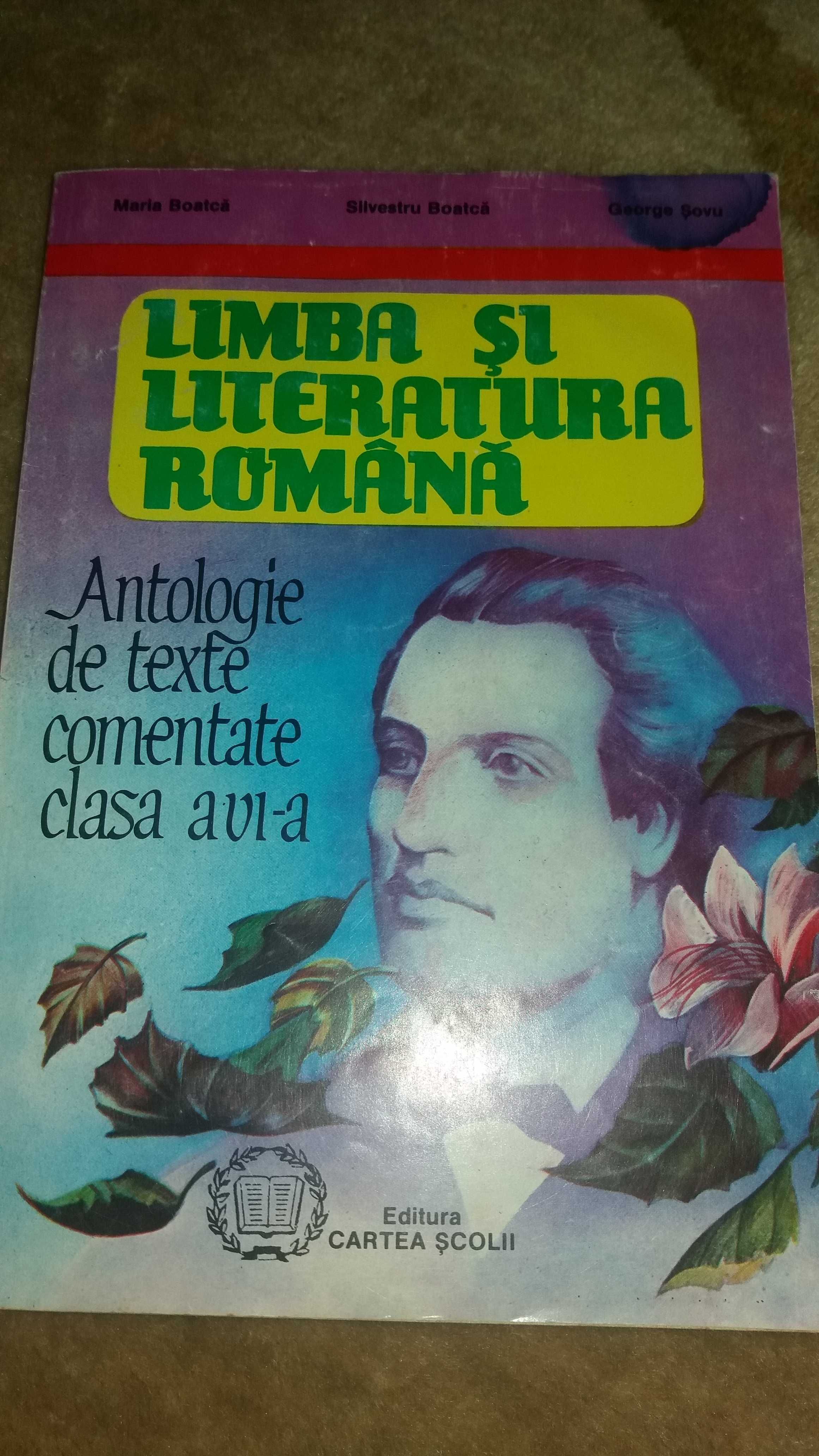 Matematica, romana clasa a VI a - culegeri