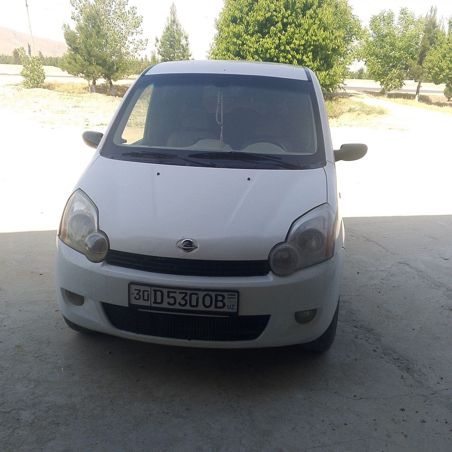 Shangan beni 2008