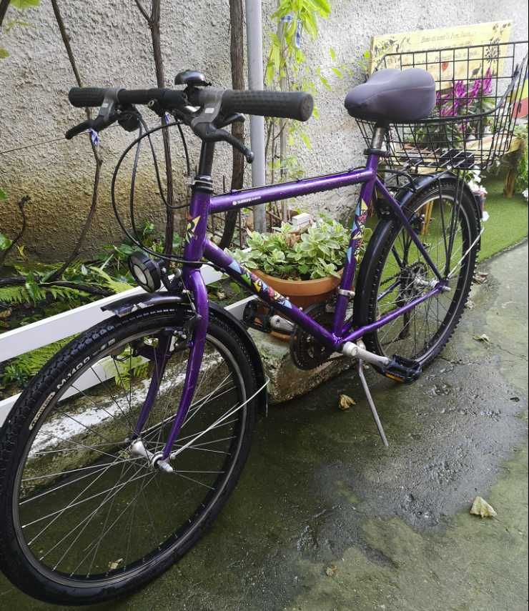 Bicicletă adulți cu coș