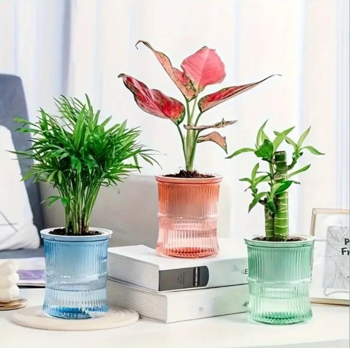 Кашпо с автополивом (фитильный полив)