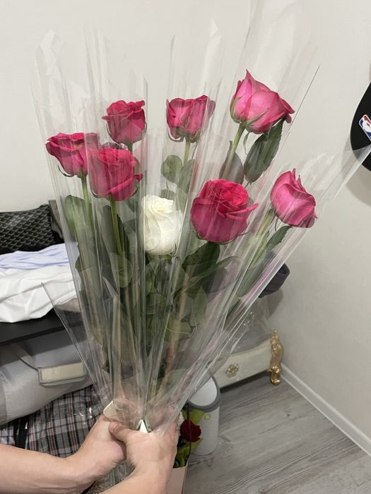 Цветы 02.11…………………..