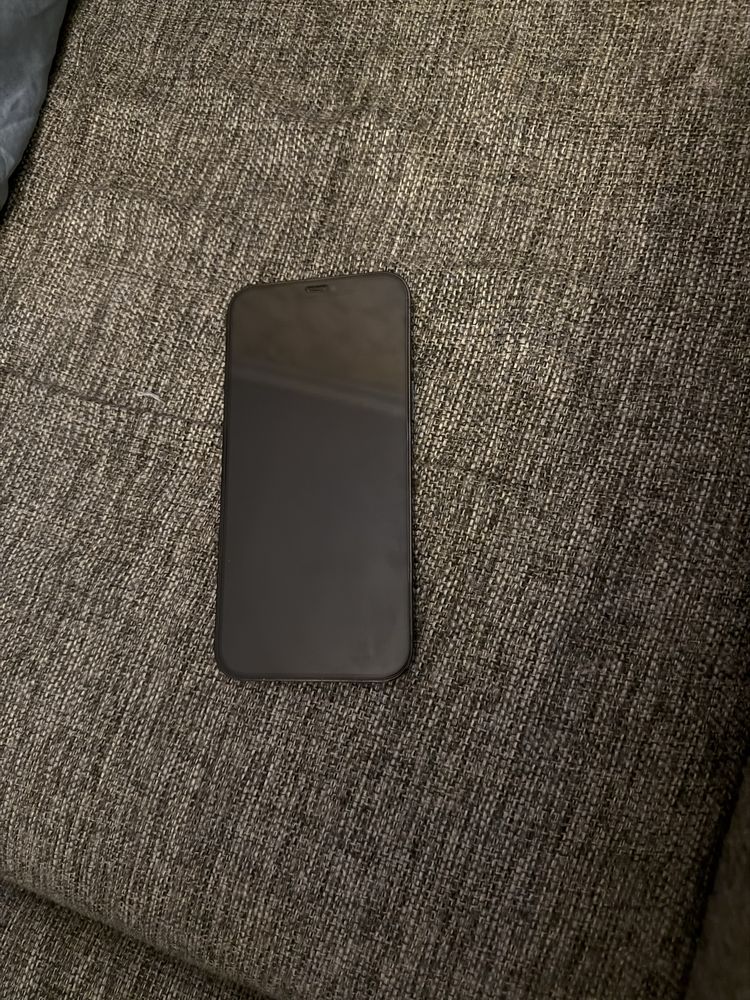 iPhone 12 Pro Max 256GB