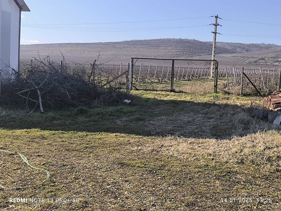 Teren Intravilan de Vanzare Zoresti