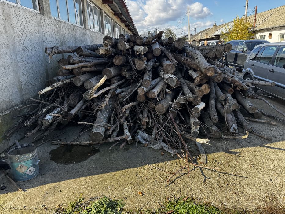 Lemn diverse esente 11 metri cubi -Botosani-usor negociabil