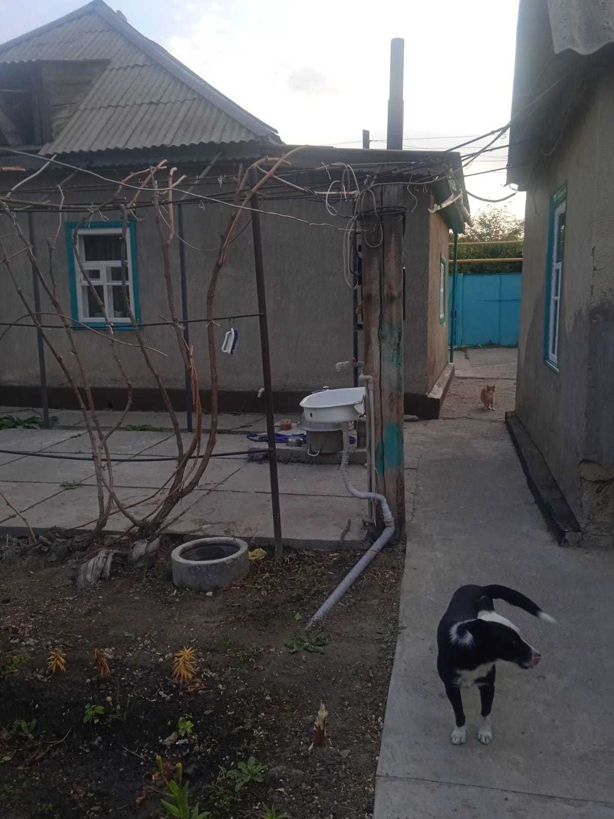 Продаю дом, в Шу,улица: Шевцова 6.