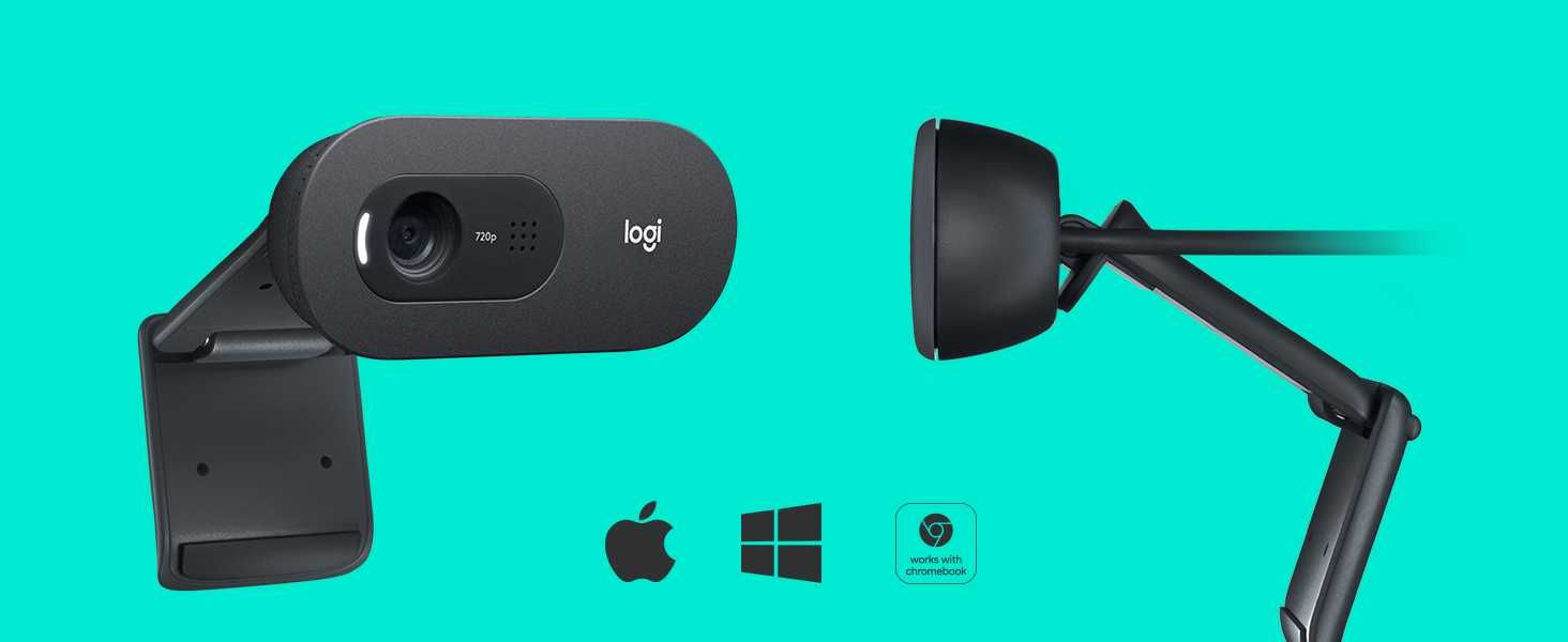 Camera web (webcam) Logitech C505 HD sigilata