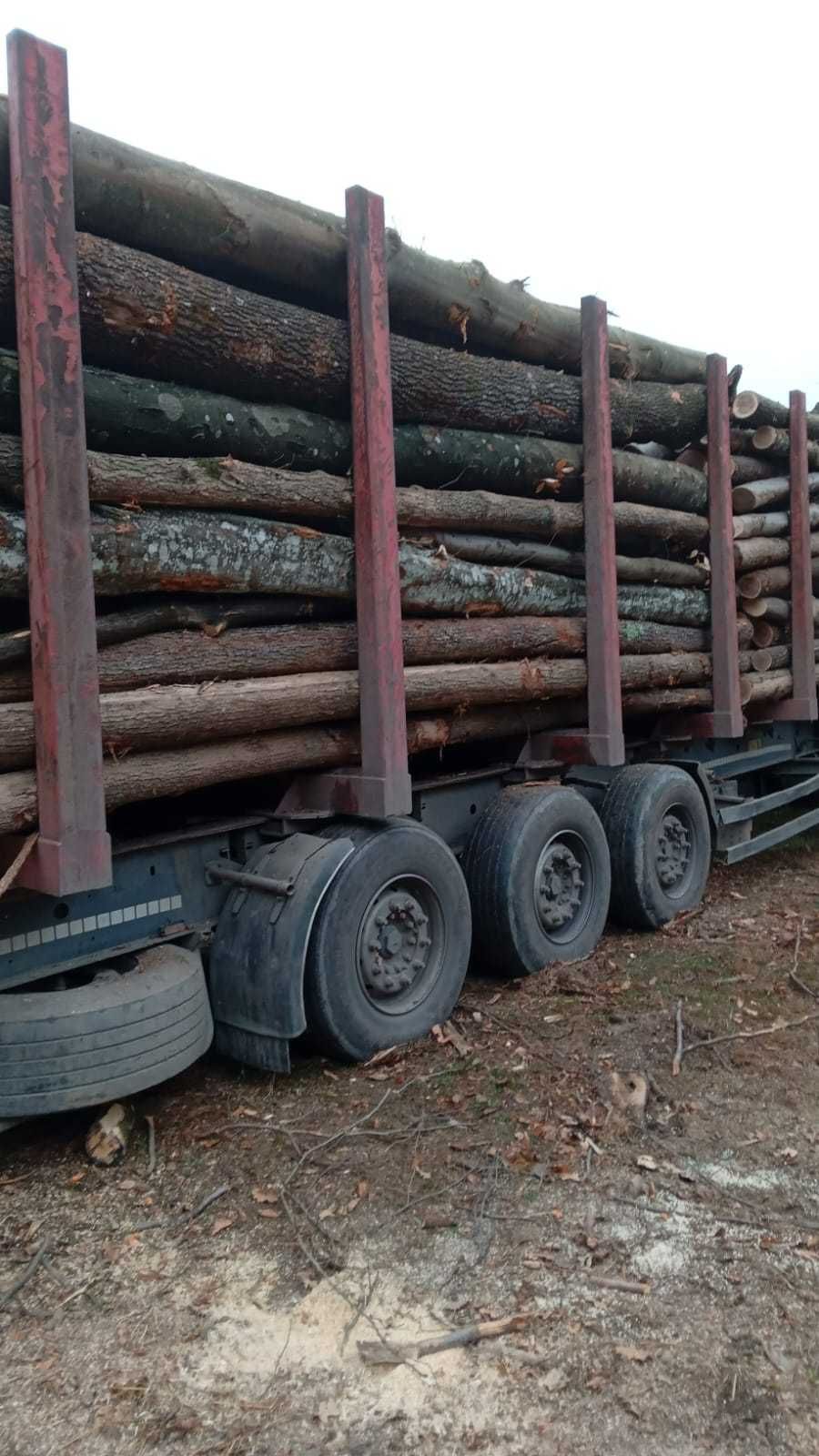 Vand Lemne de foc cu posibilitatea de plata prin cardul de energie