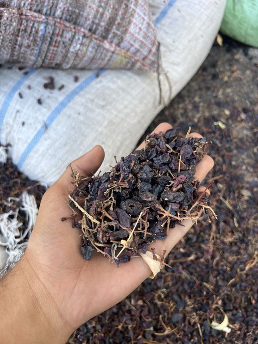 Yem qoy va mollar uchun yemish