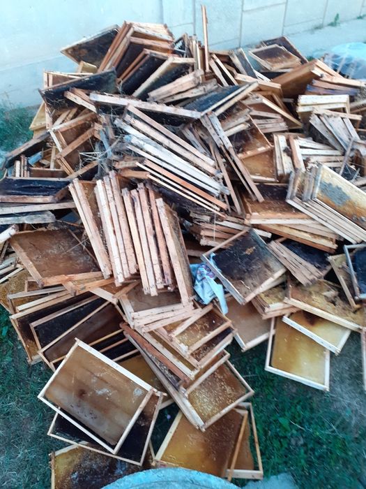 Topesc rame negre stupi