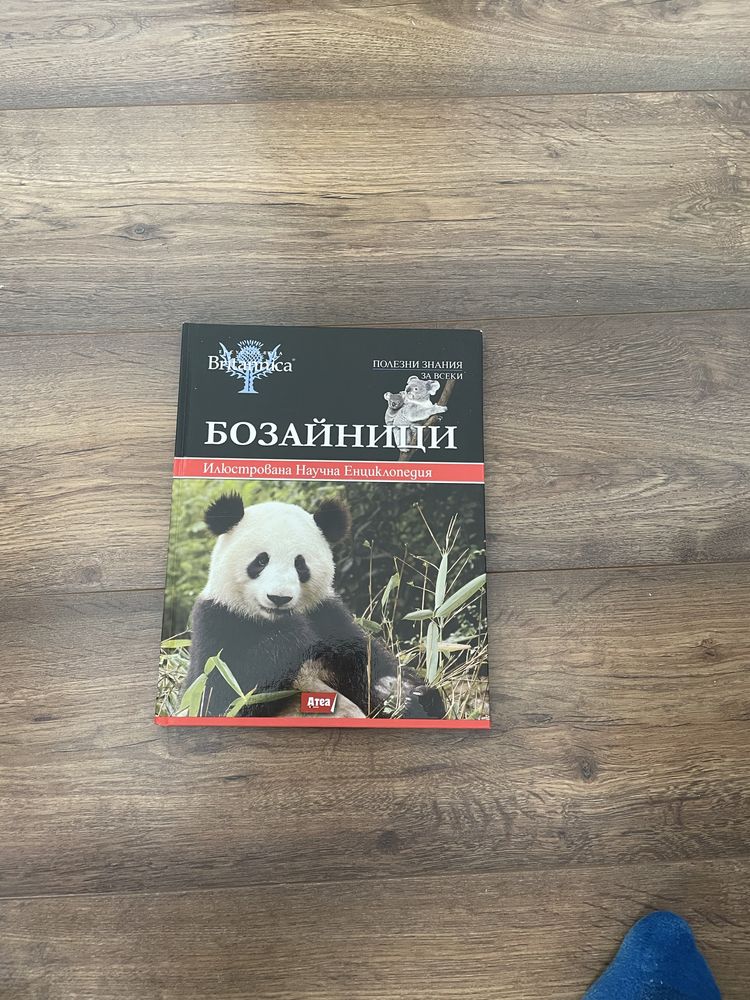 Книга Енциклопедия за бозайнници