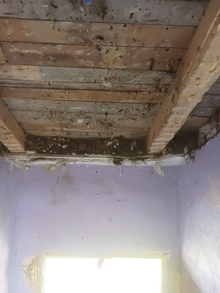 Транспорт и Хамалски услуги