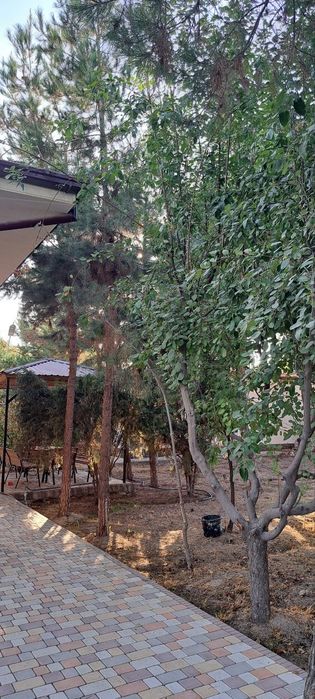 Дача Навбахор Паркент Янгибазар 6 соток Вода, Бассейн, Сауна. Топ