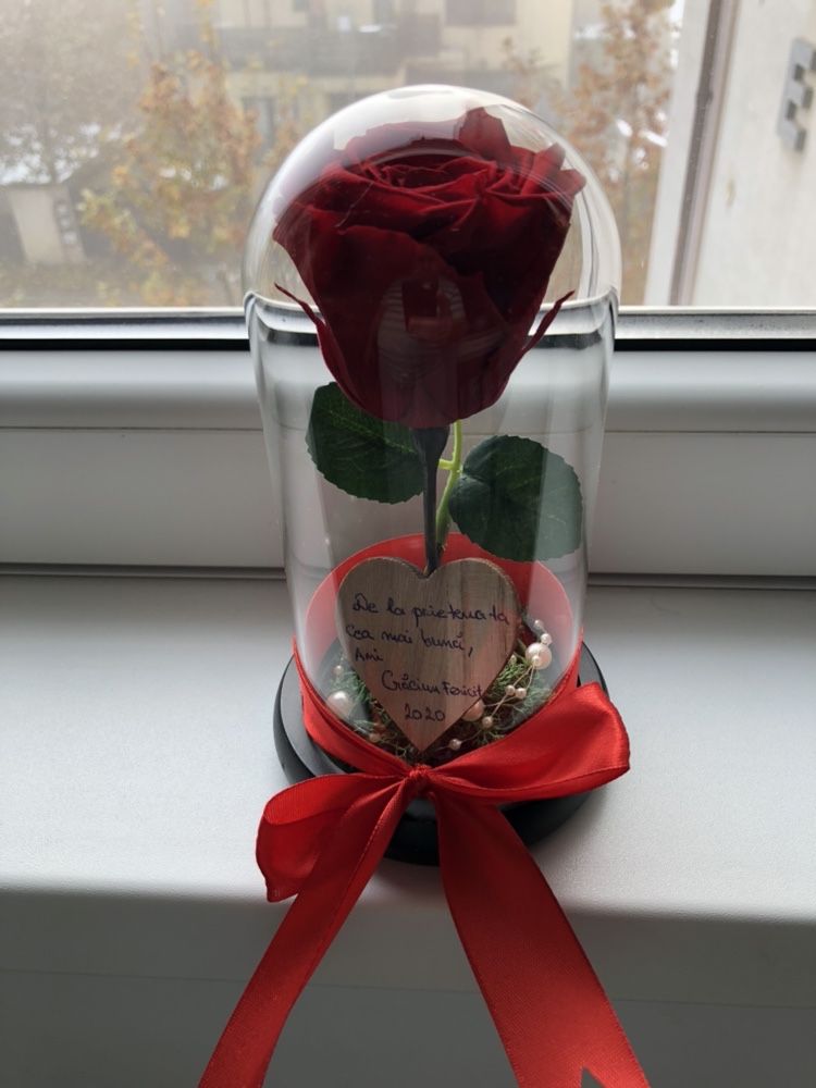 Cupola cu trandafir rosu criogenat