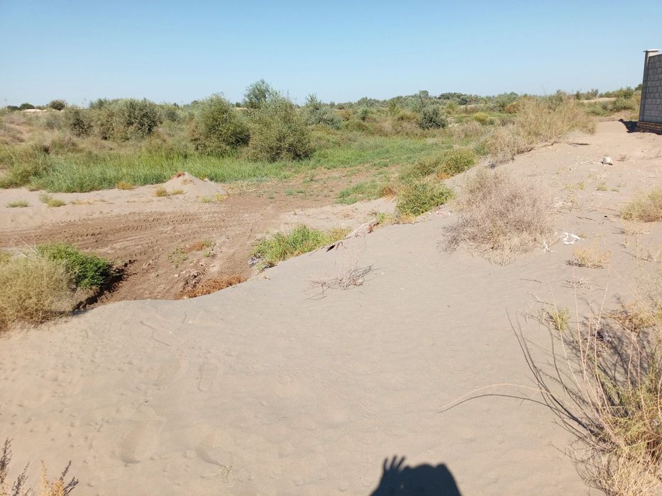 Urganch Begovot savxozda joylashgan noturar yer maydoni sotiladi