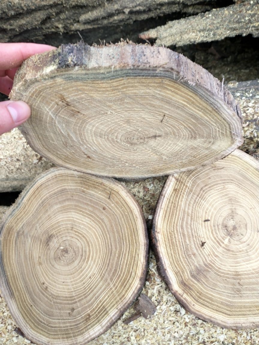 Rondele lemn diverse esențe și grosimi